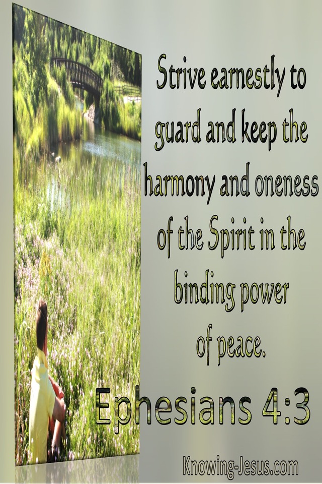 Ephesians 4:3 Strive Earnestly To Guard And Keep The Harmony And Oneness Of The Spirit (windows)09:13